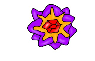 f:id:kawappa:20171127004229j:image f:id:kawappa:20171127004229j:image