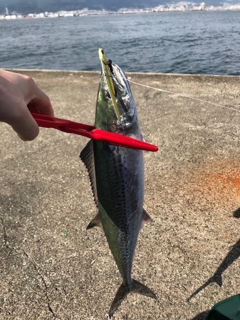 f:id:kawapuri34:20191024135740j:plain