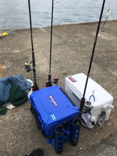 f:id:kawapuri34:20191024144109j:plain