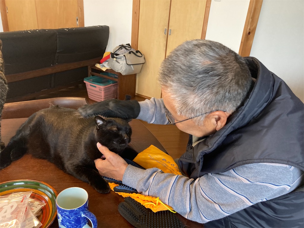 f:id:kawarara:20230318113948j:image