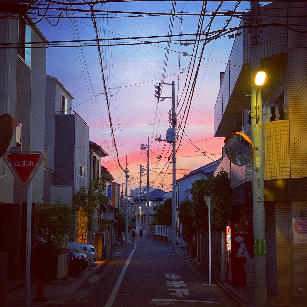 f:id:kawasek:20200618205226j:image f:id:kawasek:20200618205226j:image