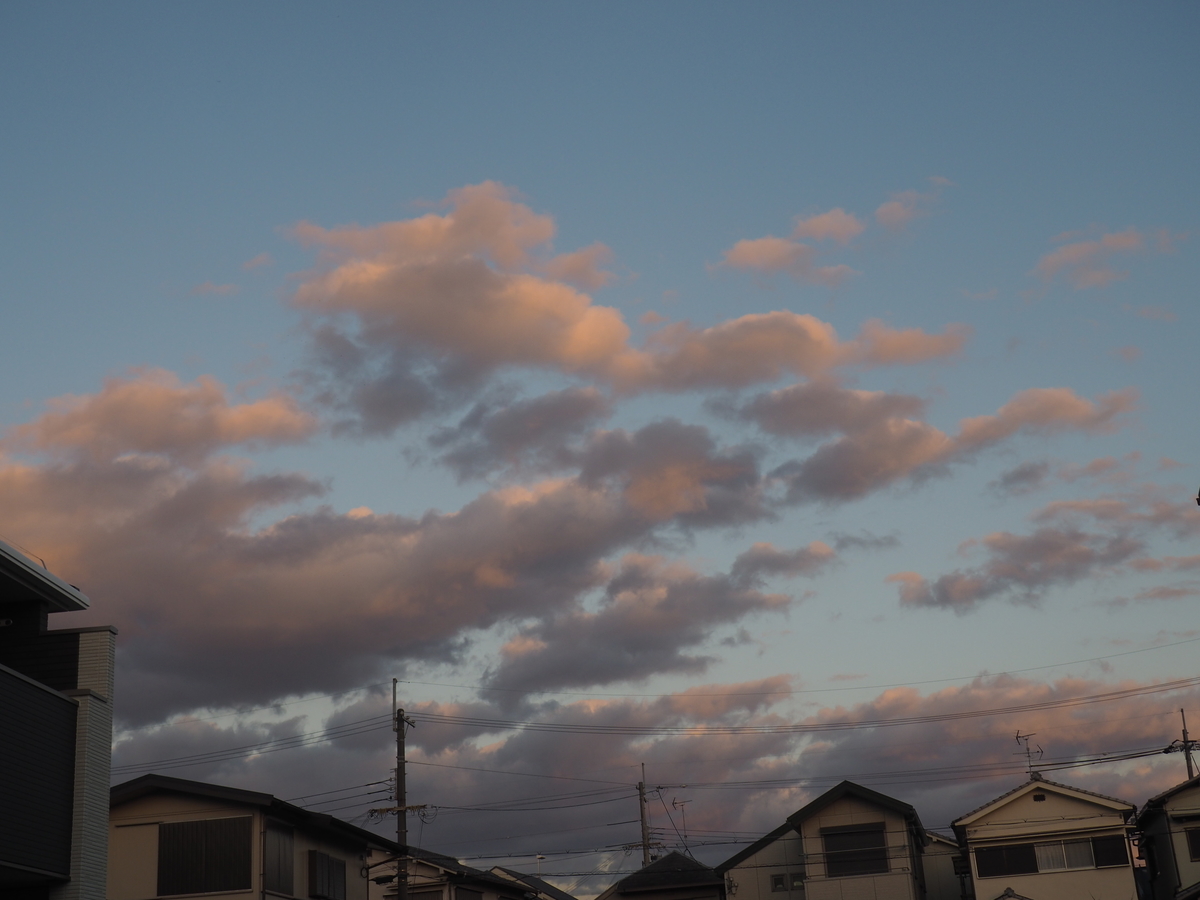 f:id:kawasemisha:20200220195034j:plain f:id:kawasemisha:20200220195034j:plain