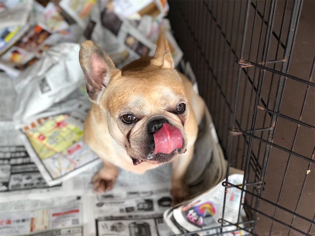 f:id:kawashimawfl:20200720000513j:image f:id:kawashimawfl:20200720000513j:image