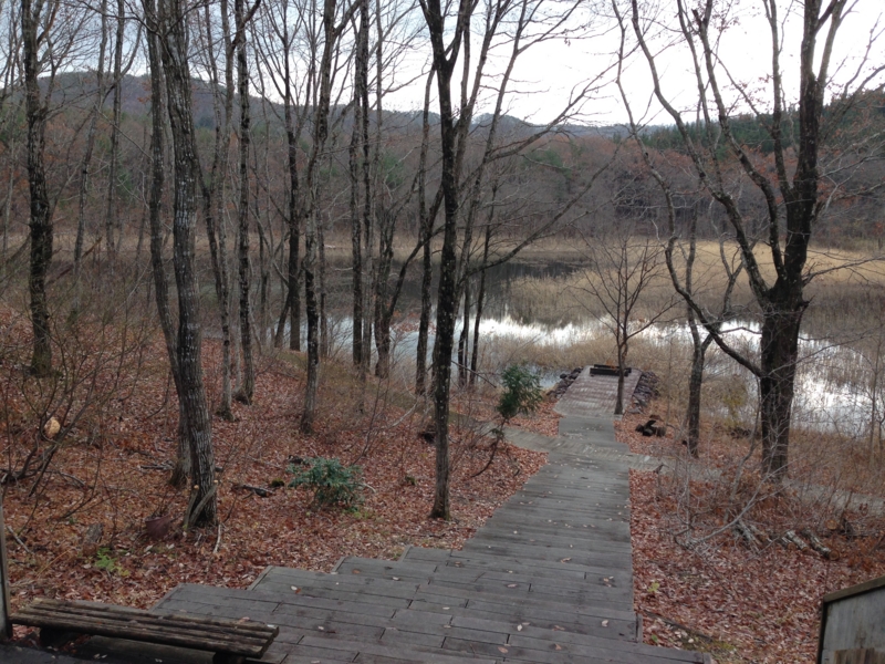 f:id:kawasimanobuo:20131201174849j:image:w360 f:id:kawasimanobuo:20131201174849j:image:w360