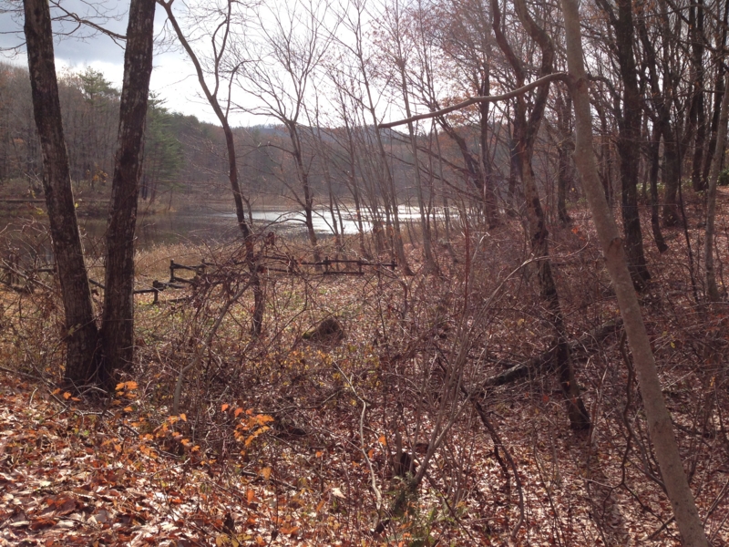 f:id:kawasimanobuo:20131201174852j:image:w360 f:id:kawasimanobuo:20131201174852j:image:w360