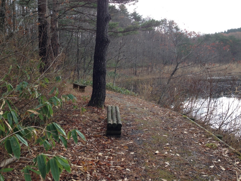 f:id:kawasimanobuo:20131201174854j:image:w360 f:id:kawasimanobuo:20131201174854j:image:w360