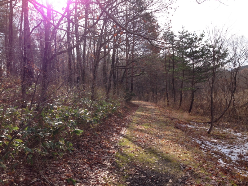 f:id:kawasimanobuo:20131201174855j:image:w360 f:id:kawasimanobuo:20131201174855j:image:w360