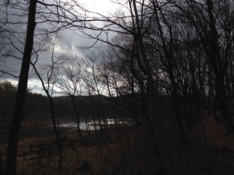 f:id:kawasimanobuo:20131201175300j:image:w360 f:id:kawasimanobuo:20131201175300j:image:w360