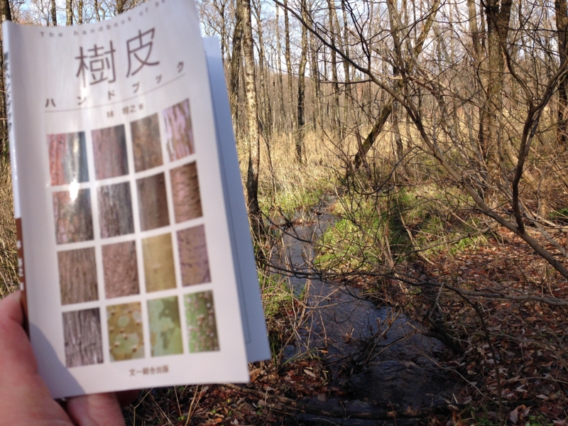 f:id:kawasimanobuo:20131201193552j:image:w360 f:id:kawasimanobuo:20131201193552j:image:w360