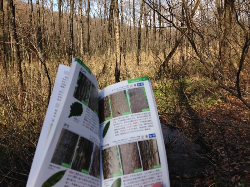 f:id:kawasimanobuo:20131201193553j:image:w360 f:id:kawasimanobuo:20131201193553j:image:w360