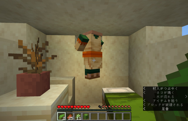 マイクラやったよ Gerori行為症候群