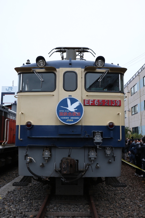 貨物列車撮影 11/12 国鉄色になったEF65 2065を撮る - 川崎鶴見
