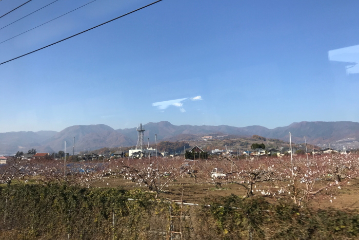 f:id:kawaturu:20180109010739j:plain