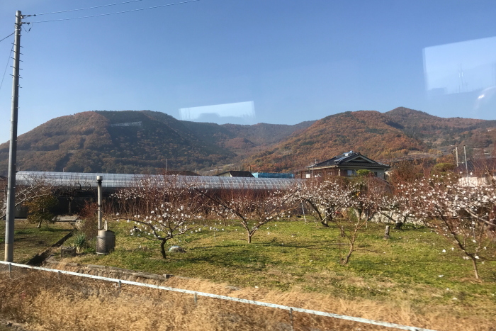 f:id:kawaturu:20180109010751j:plain