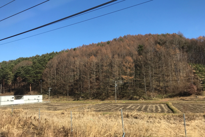 f:id:kawaturu:20180109214044j:plain