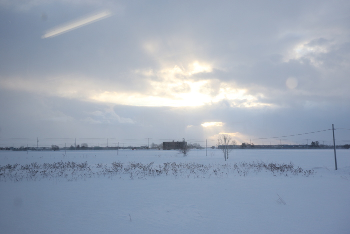 f:id:kawaturu:20180119004145j:plain