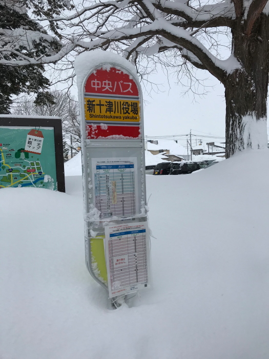 f:id:kawaturu:20180123221131j:plain