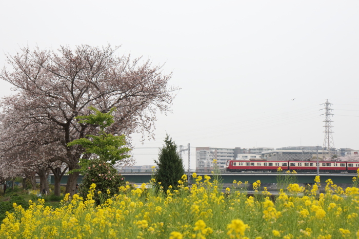 f:id:kawaturu:20180327210509j:plain