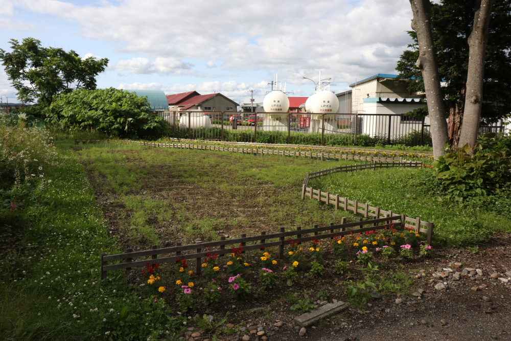 f:id:kawaturu:20190118235015j:plain f:id:kawaturu:20190118235015j:plain