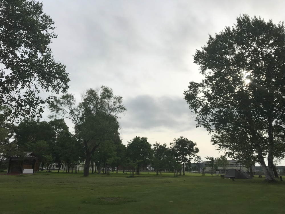 f:id:kawaturu:20190123231011j:plain