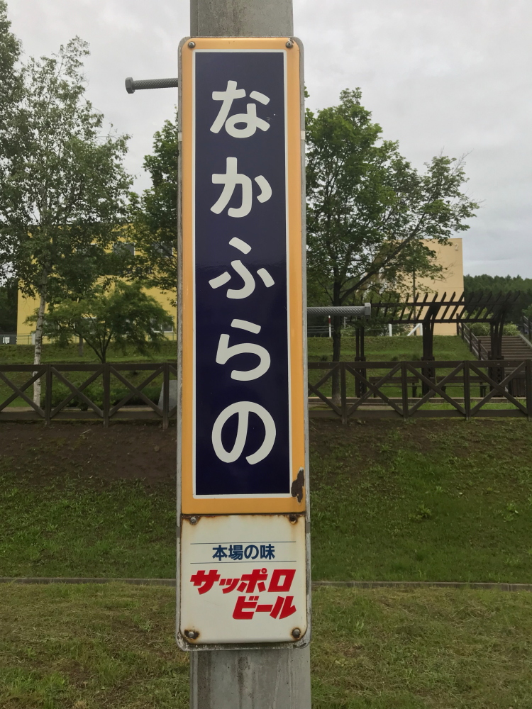 f:id:kawaturu:20190225204503j:plain