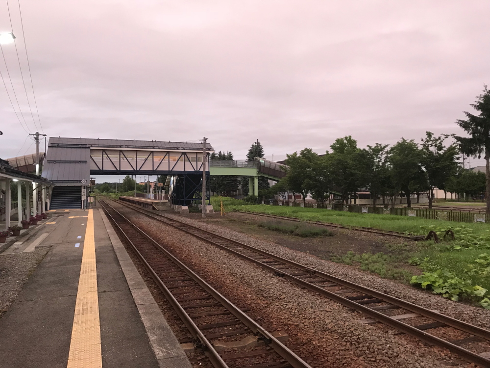 f:id:kawaturu:20190225221344j:plain