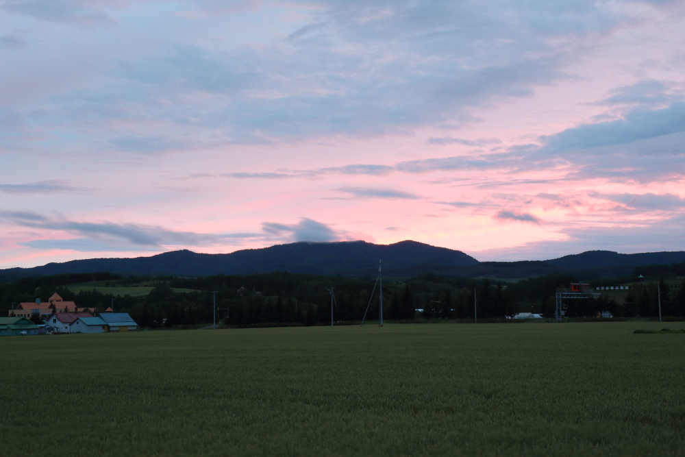 f:id:kawaturu:20190225222547j:plain