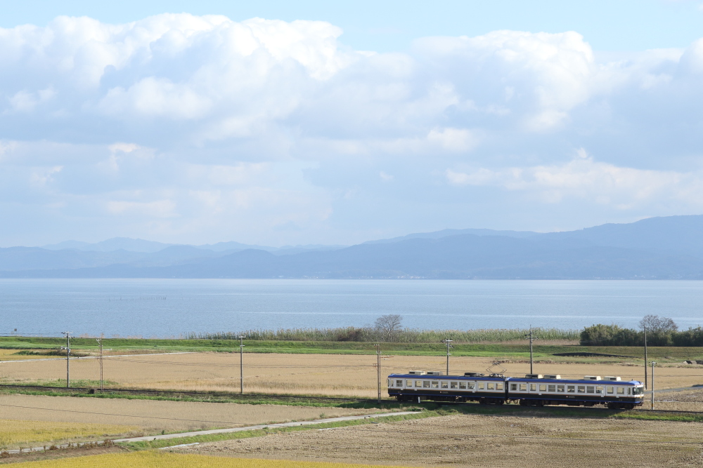 f:id:kawaturu:20190302005322j:plain