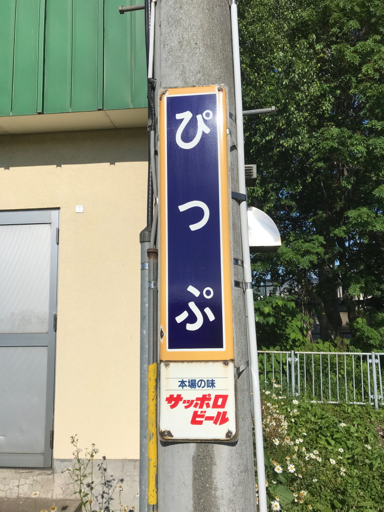 f:id:kawaturu:20190422235628j:plain