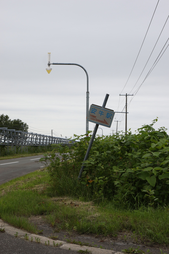 f:id:kawaturu:20190611200951j:plain