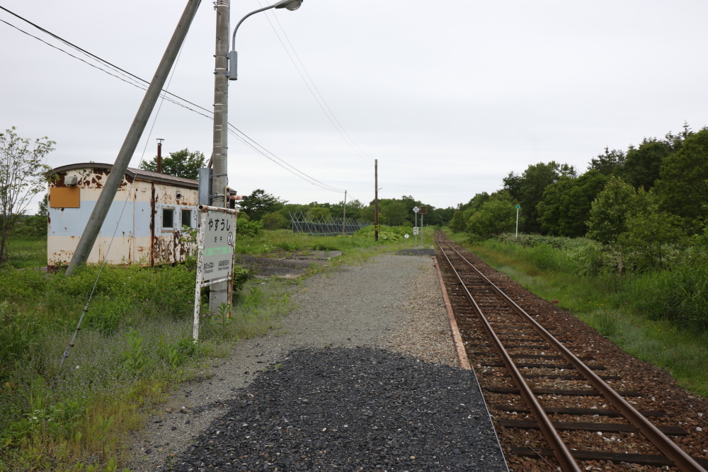 f:id:kawaturu:20190611202927j:plain