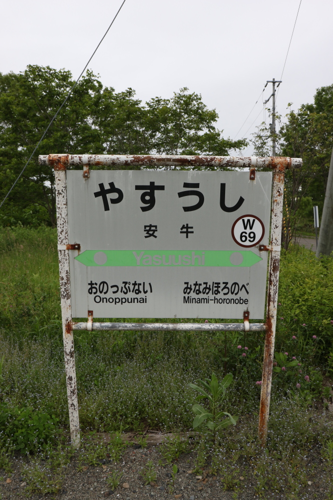 f:id:kawaturu:20190611203049j:plain