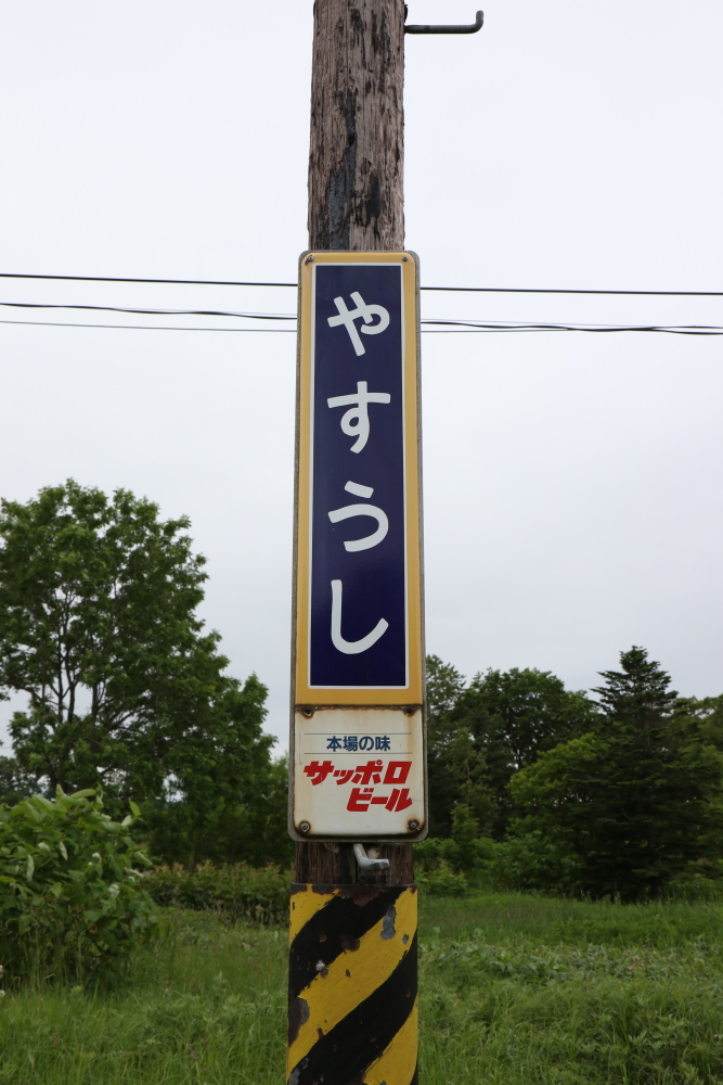 f:id:kawaturu:20190611203105j:plain