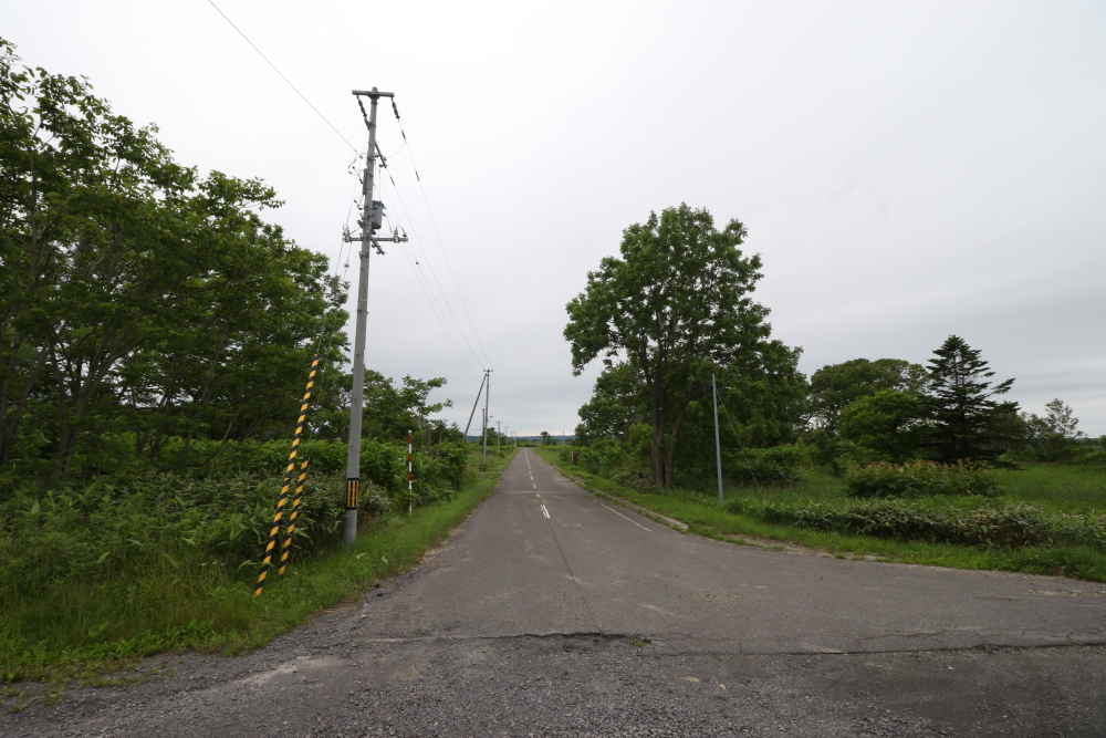 f:id:kawaturu:20190611203223j:plain