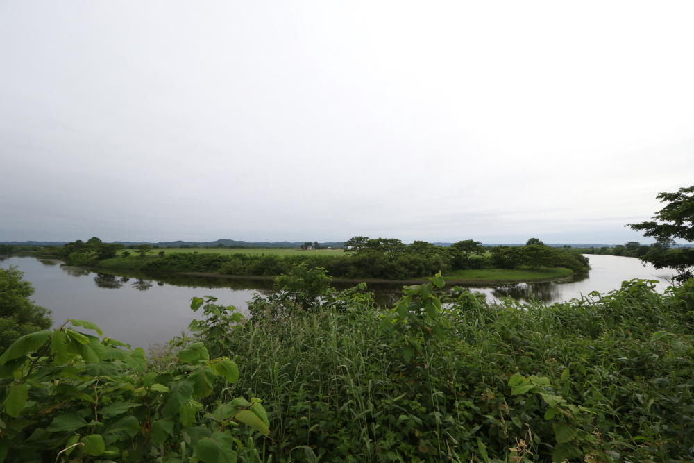 f:id:kawaturu:20190611203929j:plain