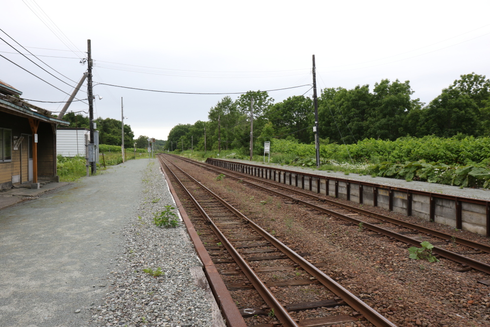 f:id:kawaturu:20190611222920j:plain