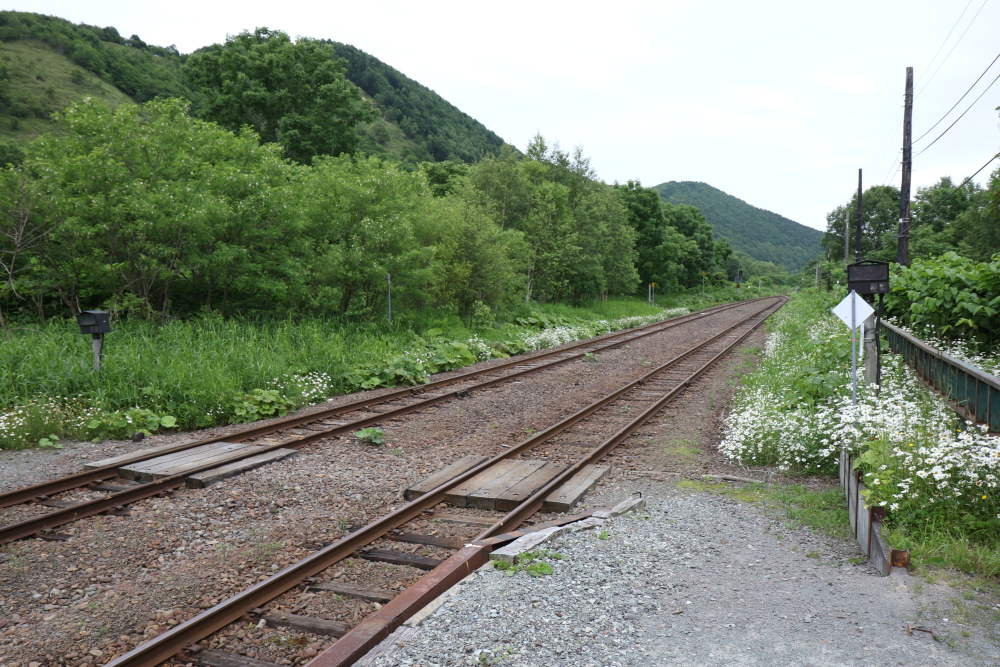 f:id:kawaturu:20190611222927j:plain