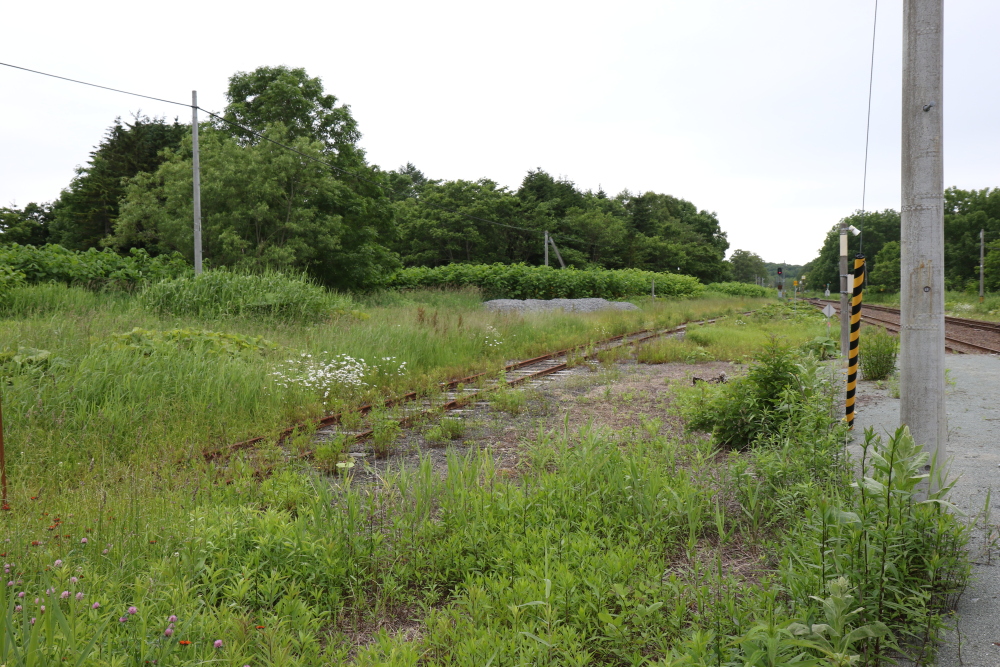 f:id:kawaturu:20190611223116j:plain