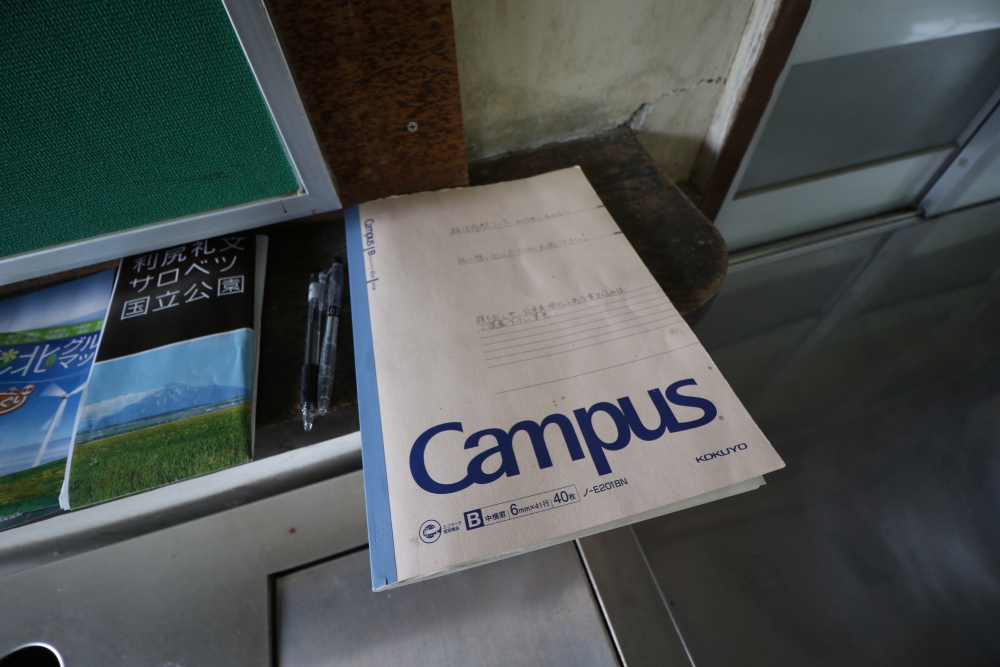 f:id:kawaturu:20190611223423j:plain