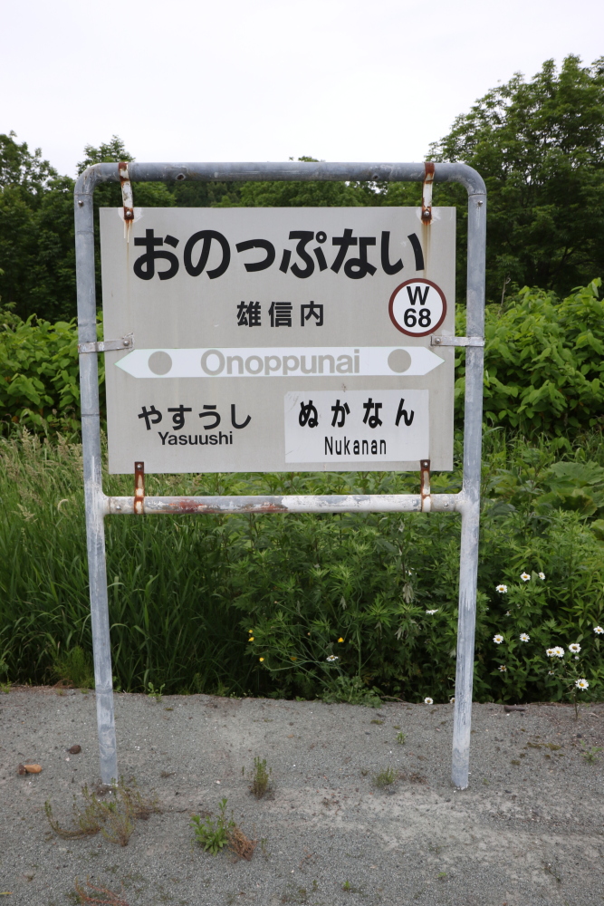 f:id:kawaturu:20190611223446j:plain