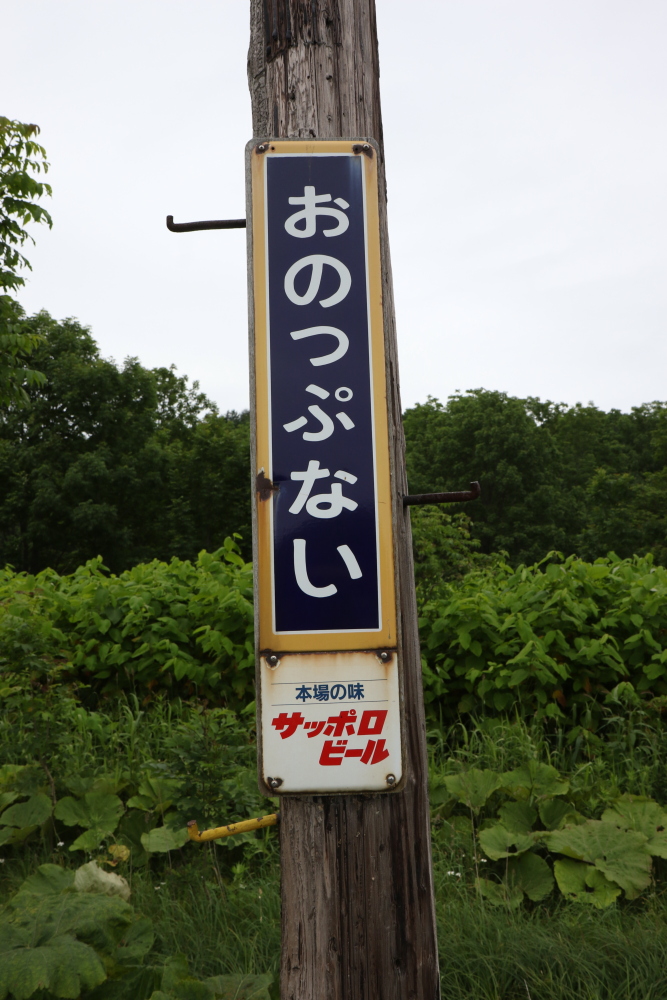 f:id:kawaturu:20190611223501j:plain