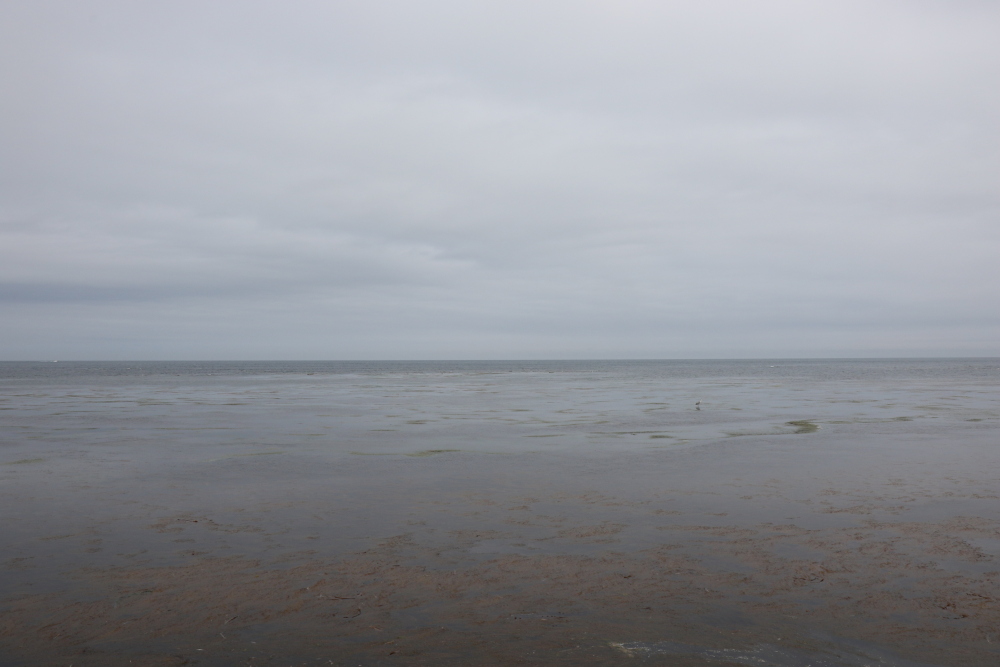 f:id:kawaturu:20190627204802j:plain