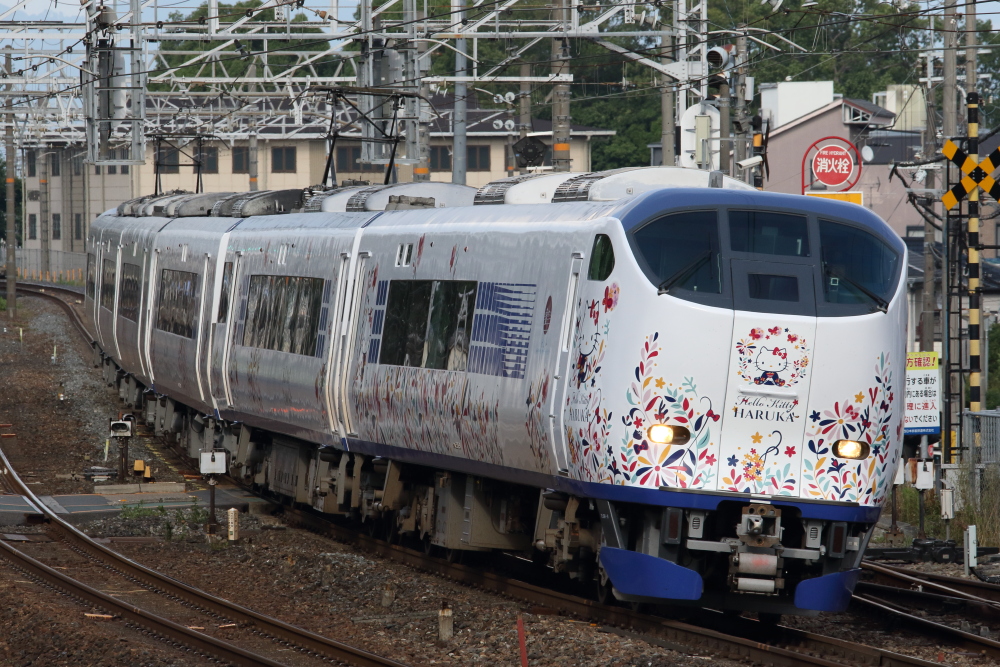 f:id:kawaturu:20190713225945j:plain f:id:kawaturu:20190713225945j:plain