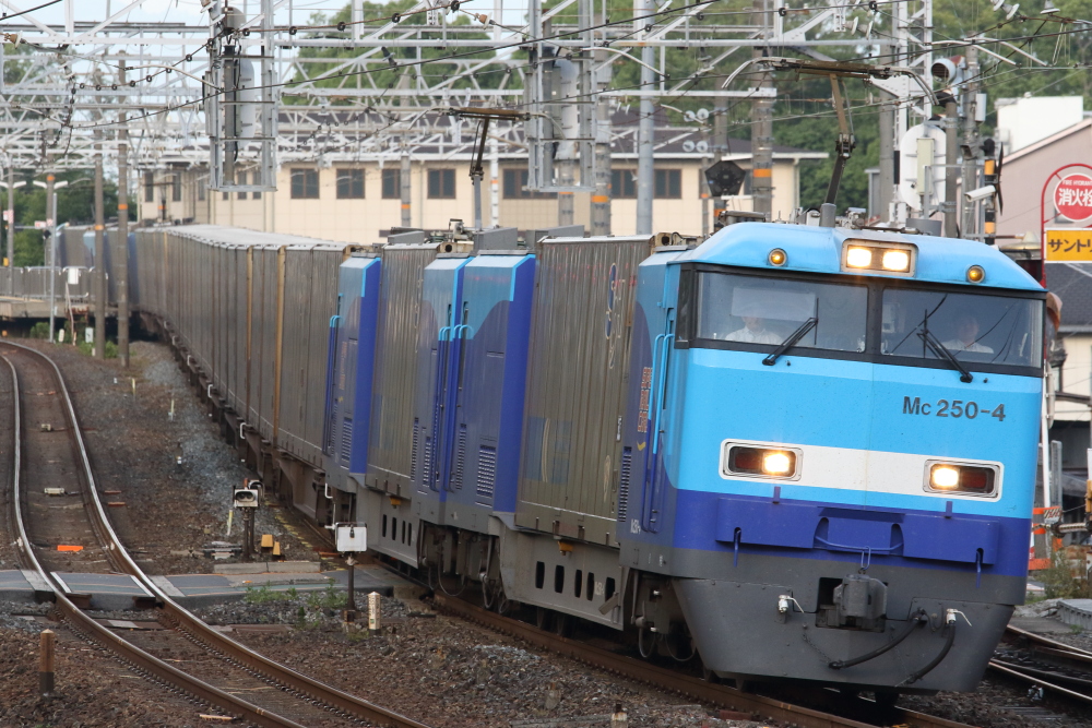 f:id:kawaturu:20190714122029j:plain f:id:kawaturu:20190714122029j:plain