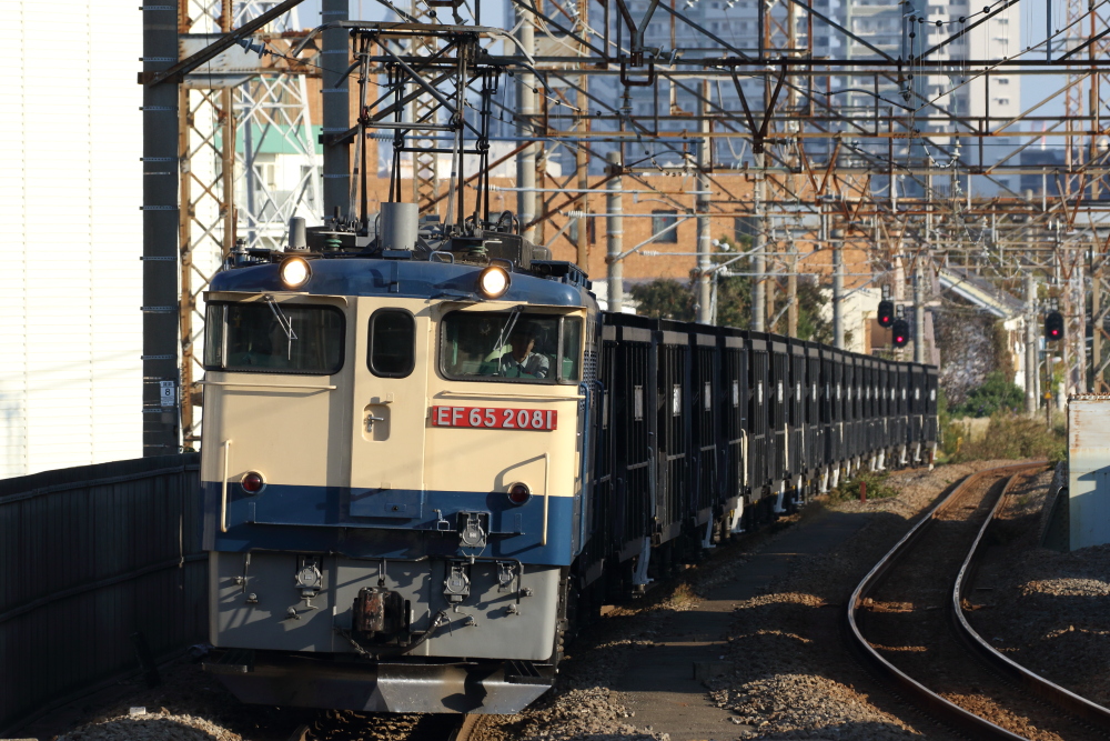 f:id:kawaturu:20191110100409j:plain