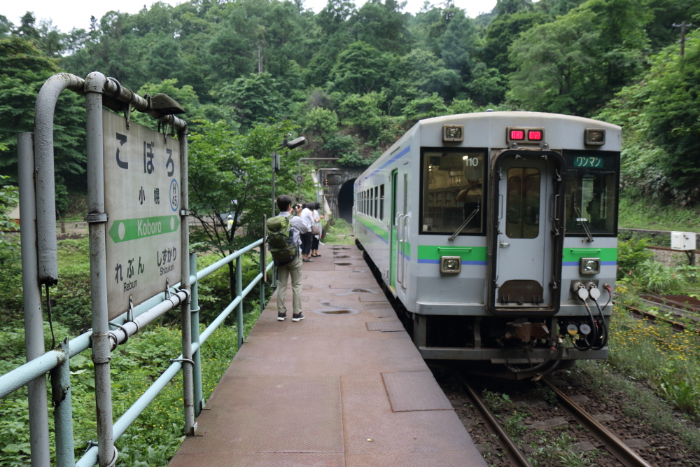 f:id:kawaturu:20191215210222j:plain