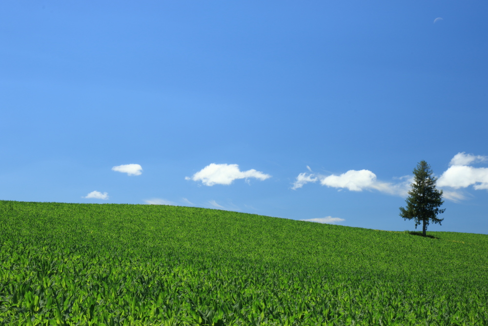 f:id:kawaturu:20191215210236j:plain