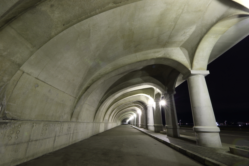 f:id:kawaturu:20191215210258j:plain