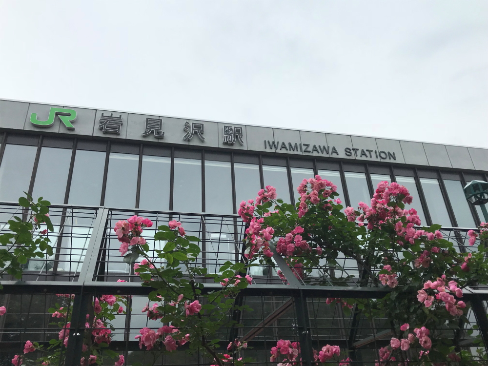 f:id:kawaturu:20191215210453j:plain