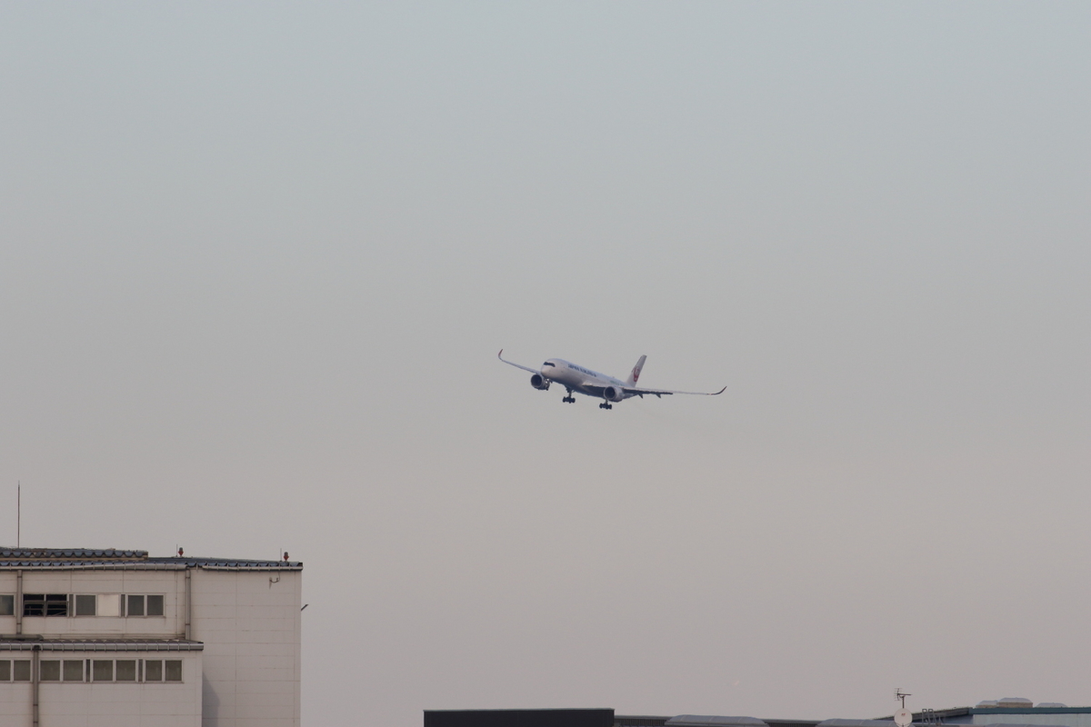 f:id:kawaturu:20200122203350j:plain f:id:kawaturu:20200122203350j:plain